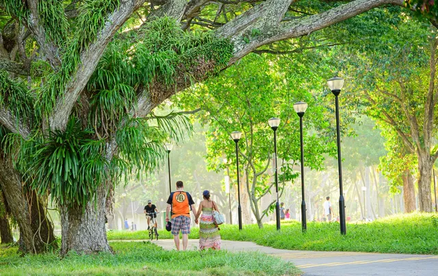 Pasir Ris Park Area 1