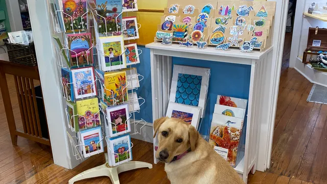 Blue Pelican Gallery Gifts & Yarn