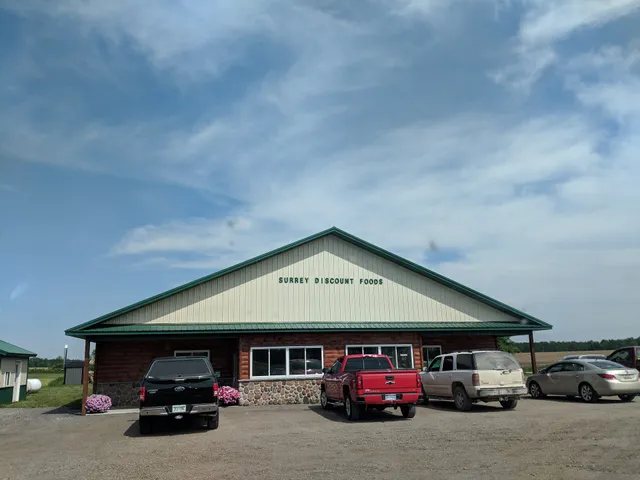 Surrey Discount Food