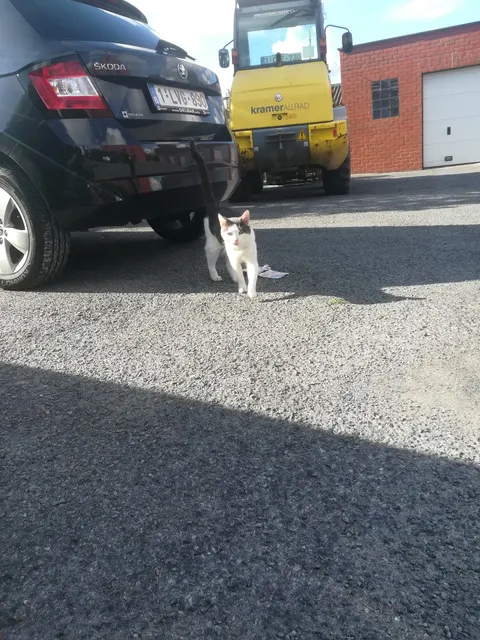 Café de la Liesse - Mouscron