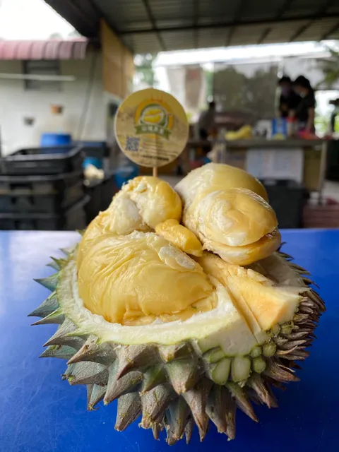 Shan Cheng Durian Penang 山城果皇