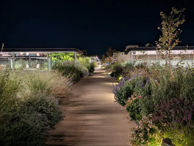 The Rooftop @ The Social Hub - Florence Belfiore