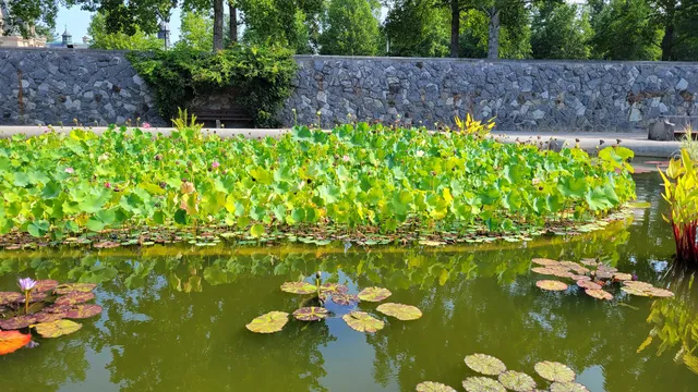 Biltmore Italian Garden