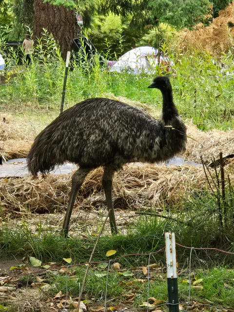 Sovereign Nation of Elk Valley Rancheria