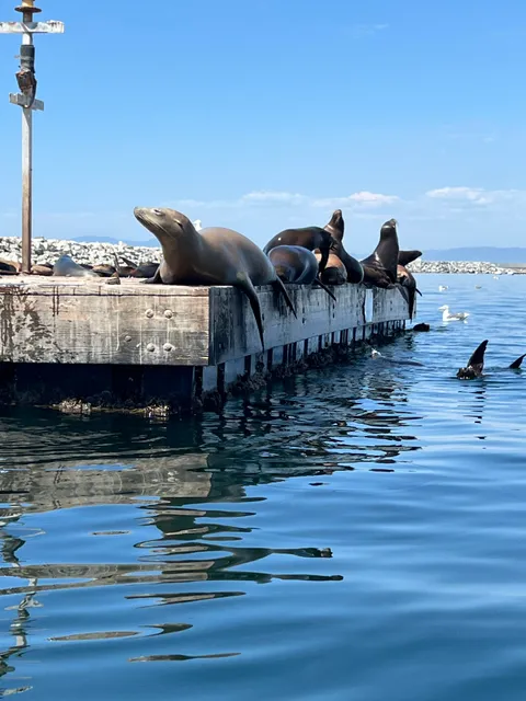 KAYAKING SNORKELING SURFING SOUTHERN CALIFORNIA with GARY GOLDING