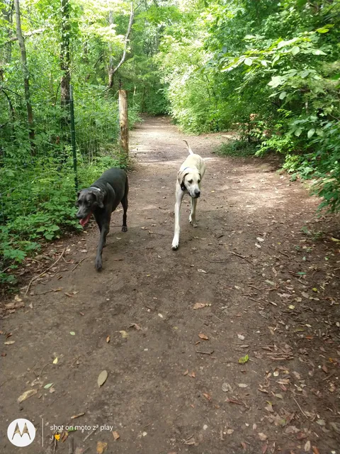 Shawnee Mission Park Dog Beach