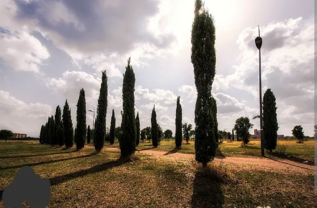 Parco Archeologico di Centocelle