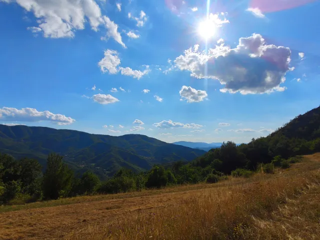 SO MAGIC - La casa nel bosco