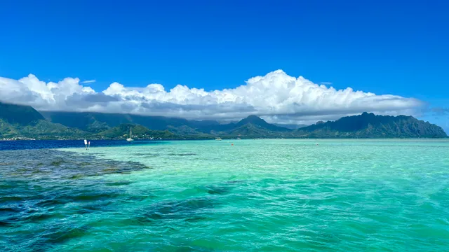 CAPTAIN BRUCE Kaneohe