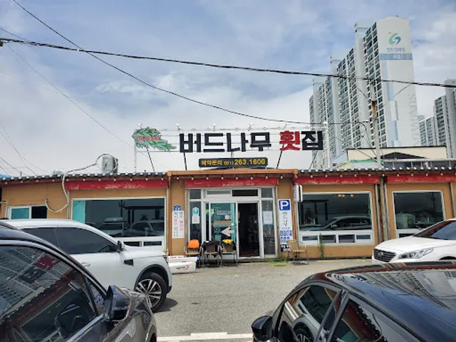 버드나무집