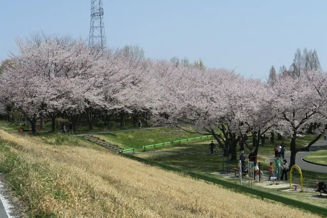 Soccer Field at Kawagoe Aquatic Park
