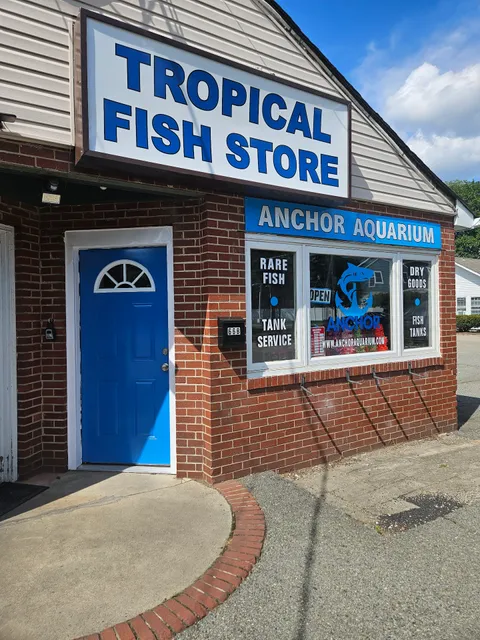 Anchor Aquarium Freshwater Fish & Maintenance