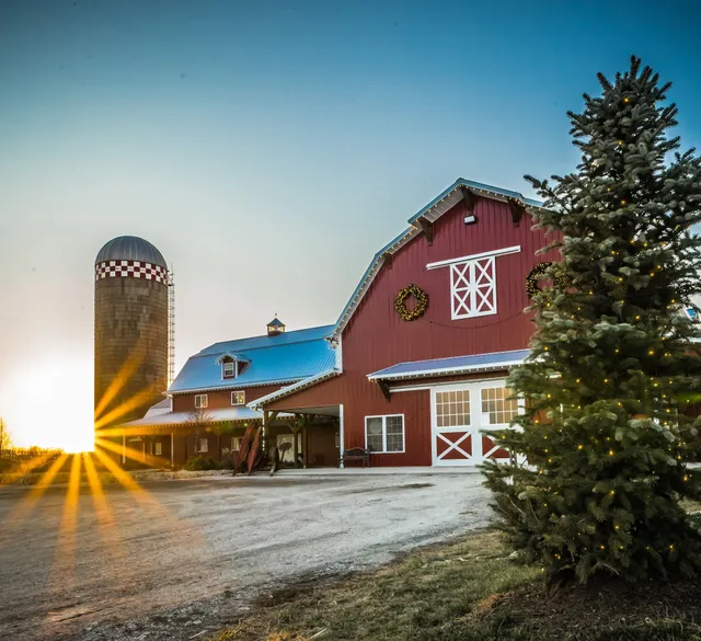 Fun Farm Pumpkin Patch