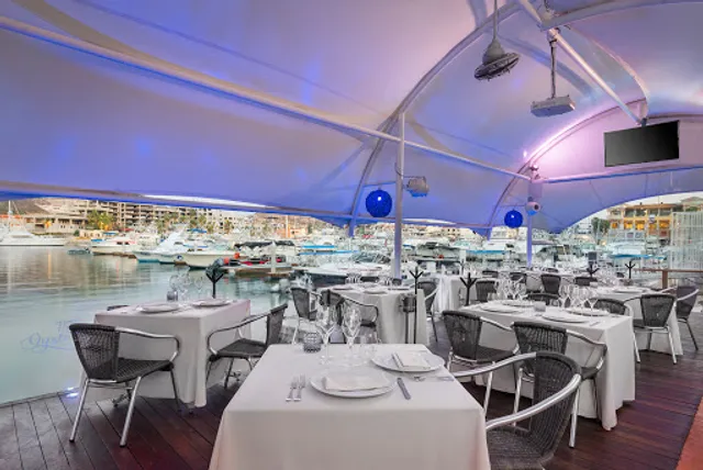 Oyster Bar at Baja Lobster Co.