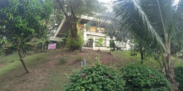 Subic Rainforest Retreat (SRR Nests)