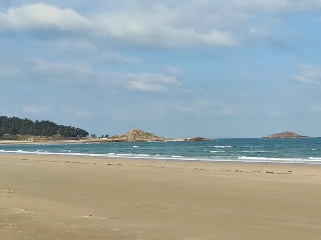 LES SABLES D'OR LES PINS