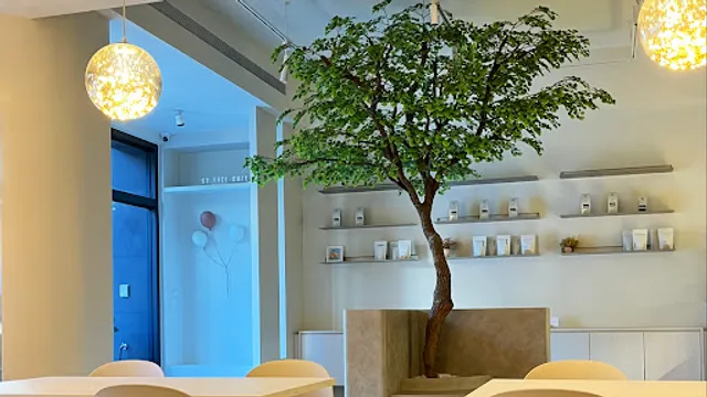 St. Tree cafe
