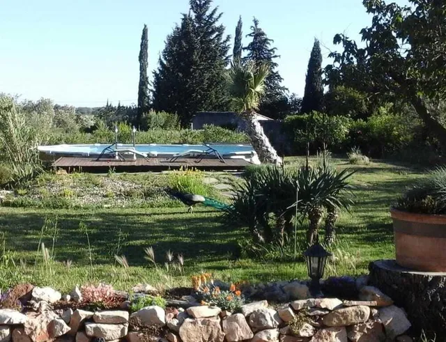 écoutez les oiseaux