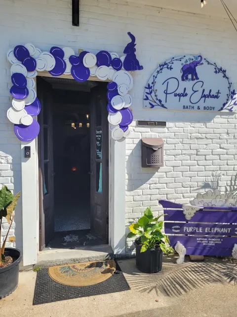 The Earthly Elephant