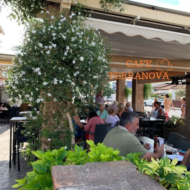 Café Terranova