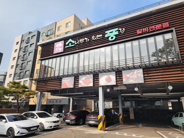 소나무가 있는 풍경 (소풍)