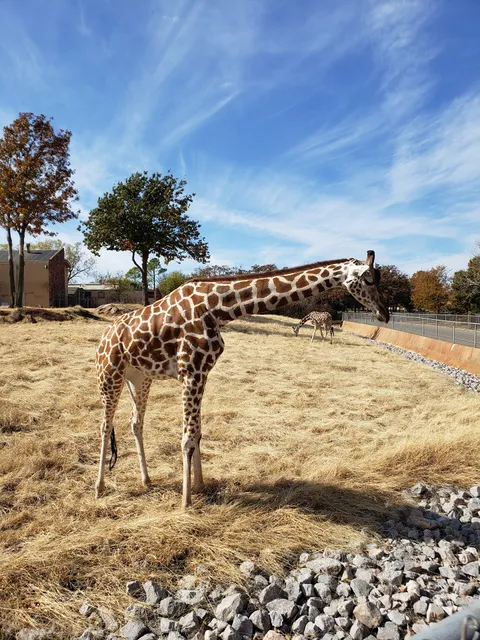 Oklahoma Zoological Society (OZS)