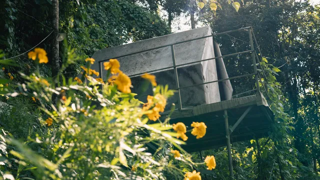 Kaffee valley - Kurumbalakotta