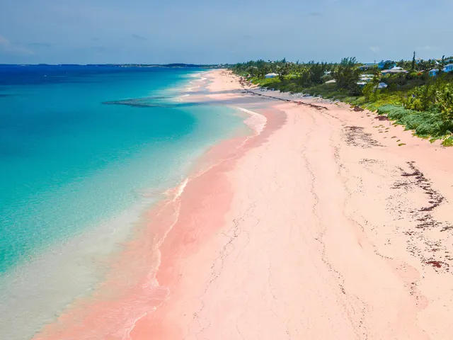 Pink Sand Beach