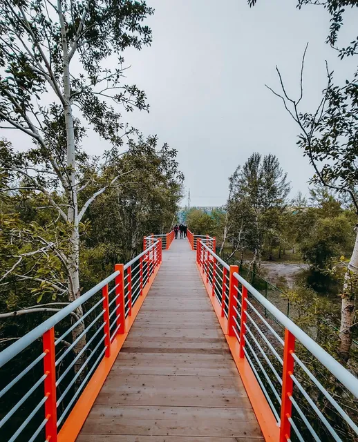 Мишээл байгаль орчин, танин мэдэхүйн хүрээлэн