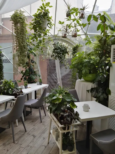 Apartamentos Too-Good