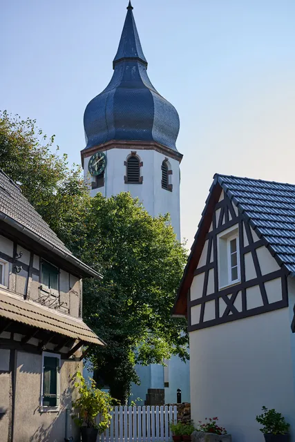 Le Clos de La Vieille Dame