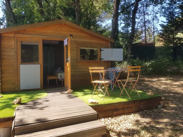 Les Lézards au Soleil