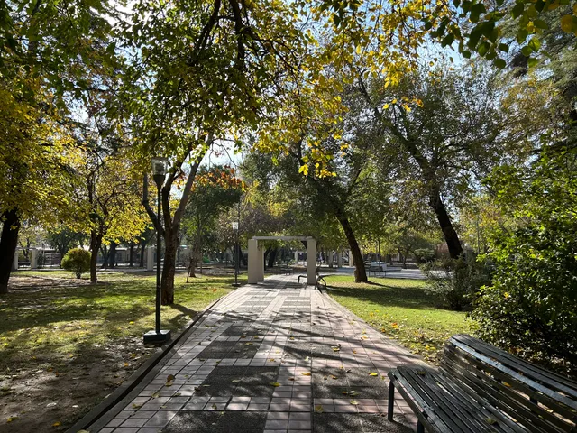 PLAZA MATUS HOYOS