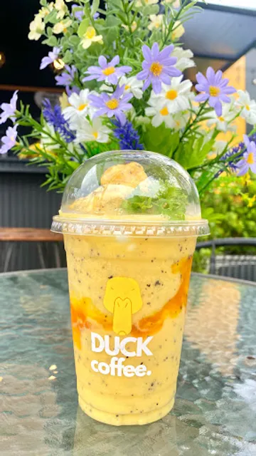 Duck coffee