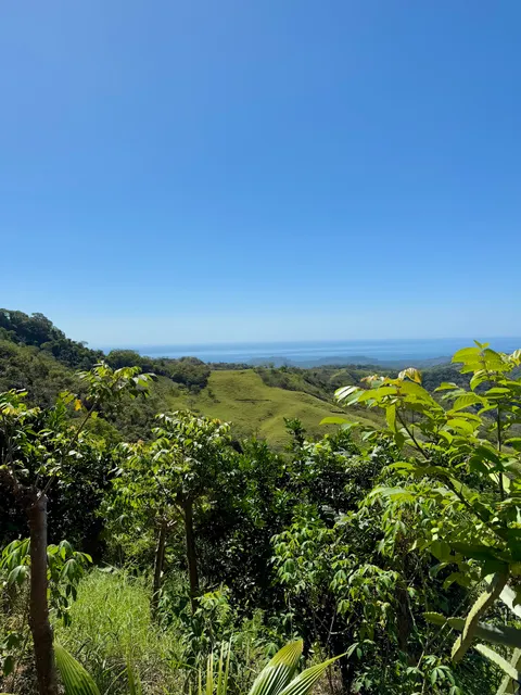 Coffee Tour Don Juan