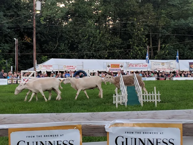 Celtic Classic Highland Games & Festival