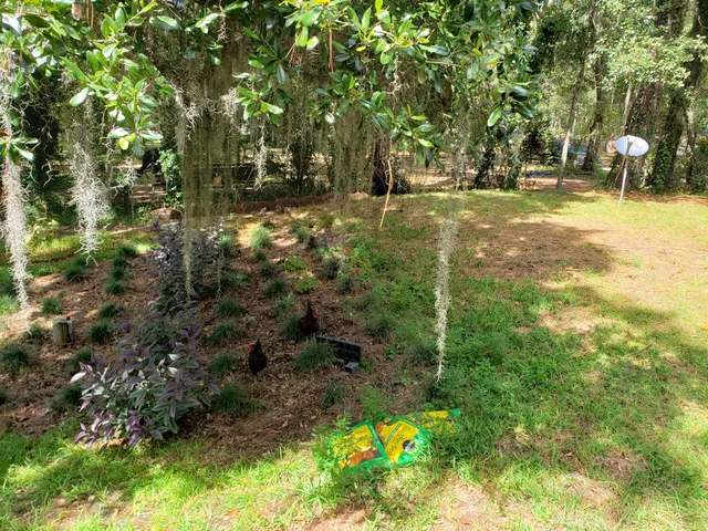 Leon County Animal Control