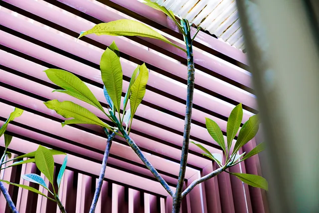 台南樸宿｜4-8人｜小資包棟｜復古老宅｜寵物｜