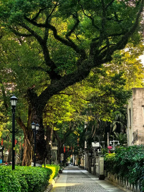 Laotongzhi Tea House