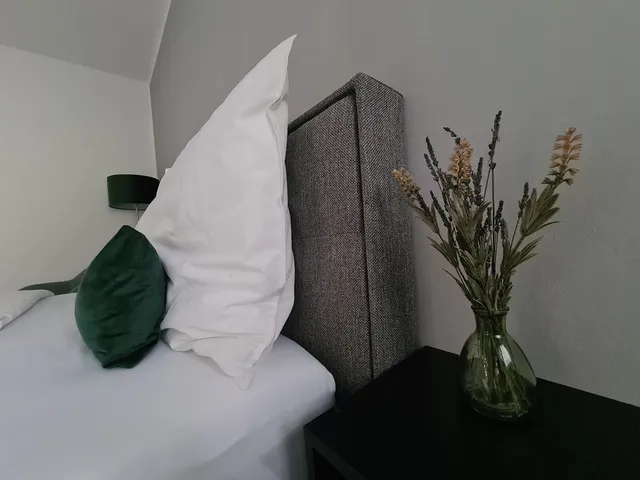 HOST NOW | St. Antoni Suites