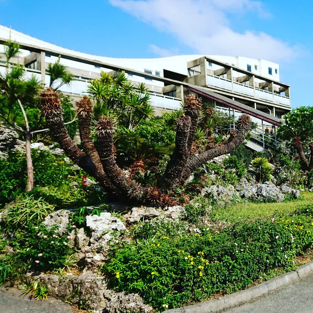 Yoron Island Village