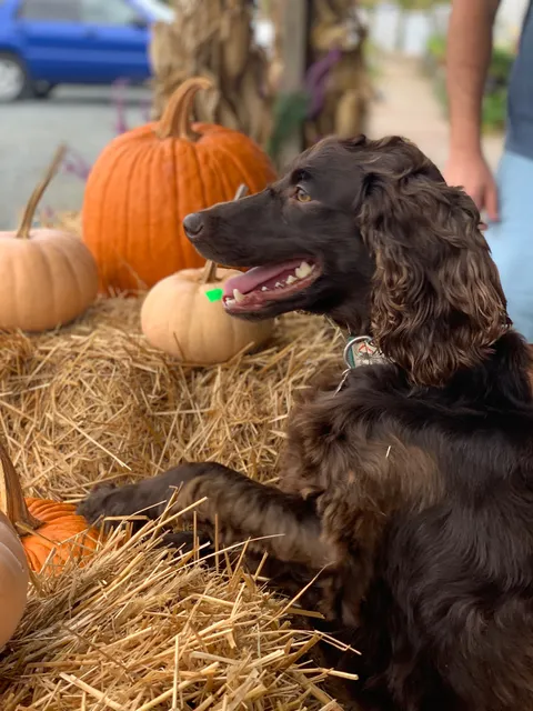 Hortco Garden Center