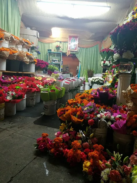 Paraiso floral