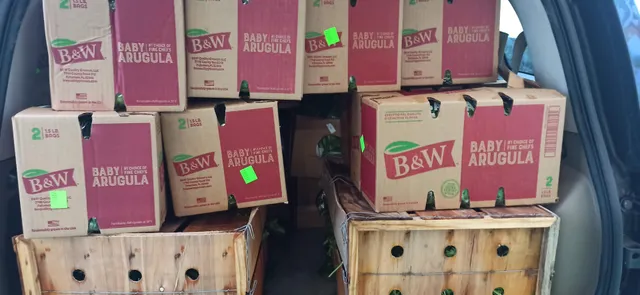 Coosemans Atlanta Inc