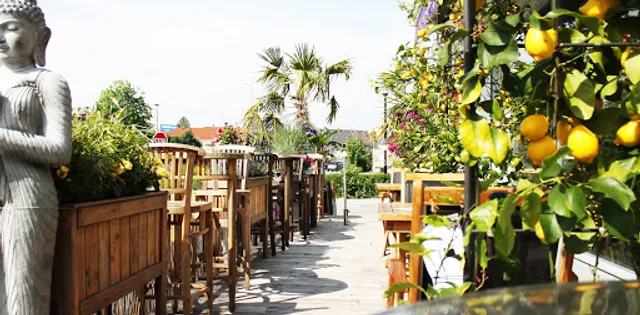 Food Work by Ratchy - Famous Thai Food - Traunstein