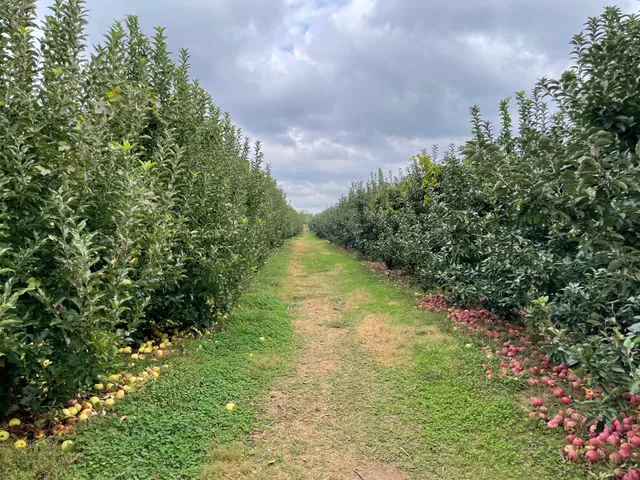 Linvilla Orchards Pick Your Own Shed