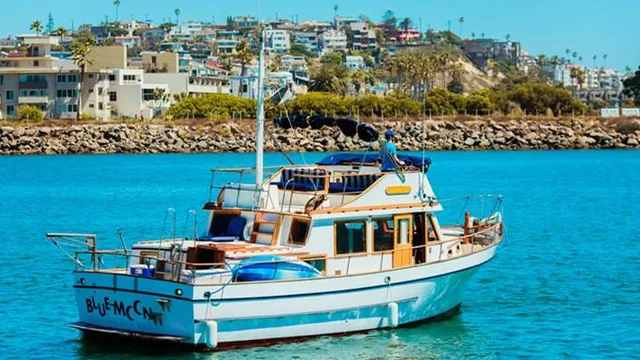 Blue Moon Dolphin Cruise