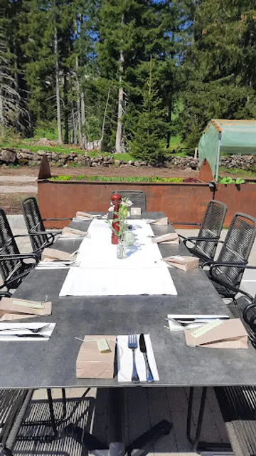 Edelweiß am Öberle