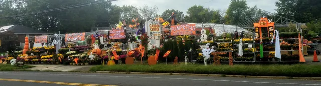 The Farm at Lloyd Road