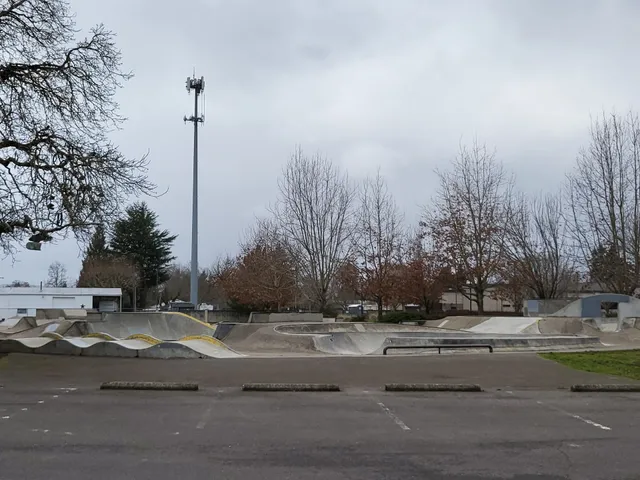 Carlson Skate Park